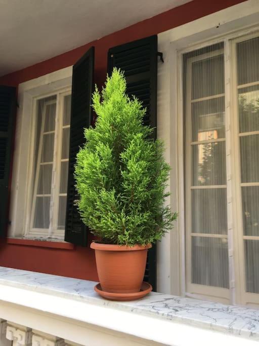 At Home 128 : Little Garden In The City Turin Exterior photo